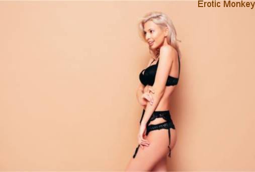 Guide to Refined Social Escorts image 2